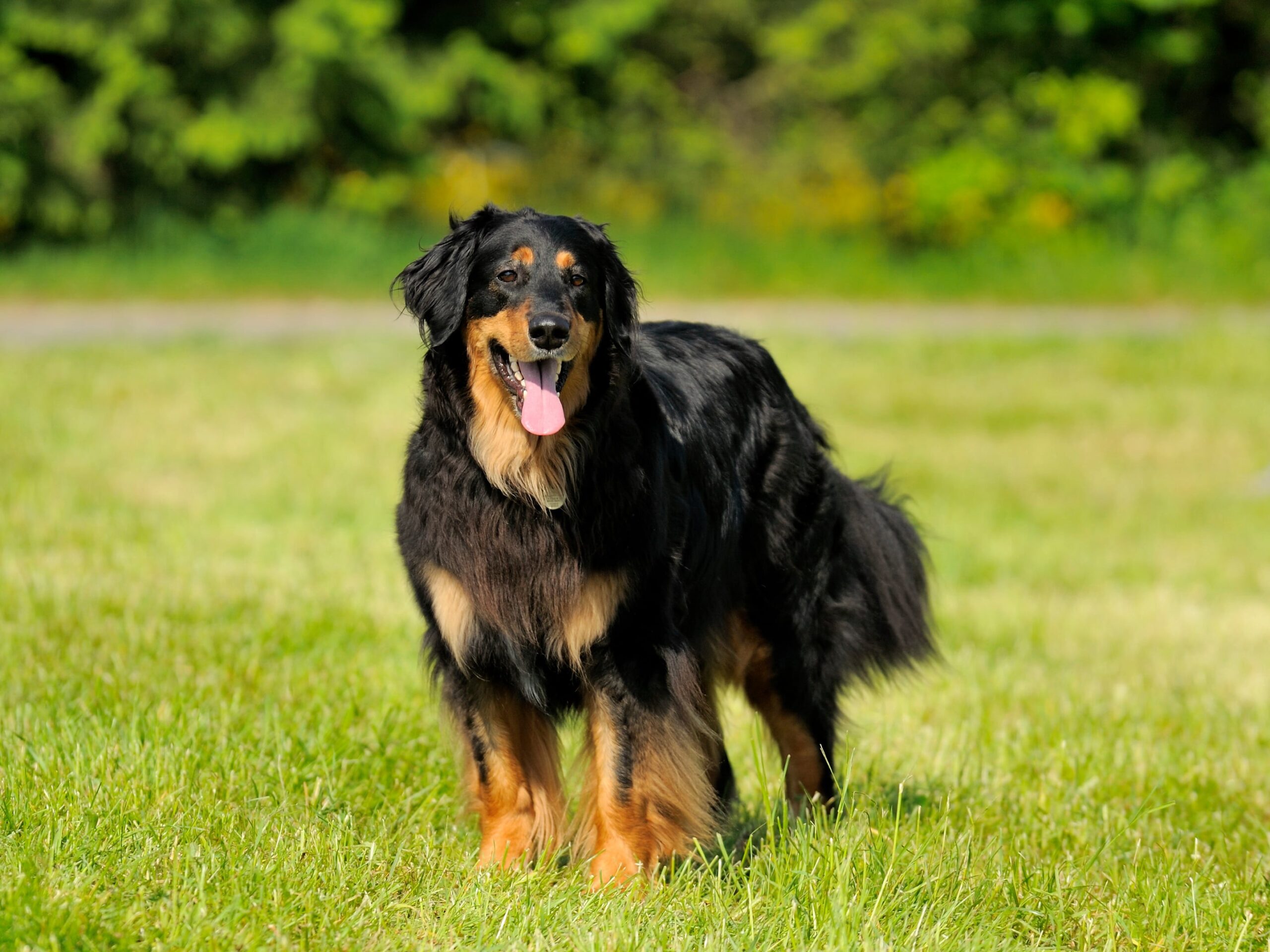 Główne obszary działania