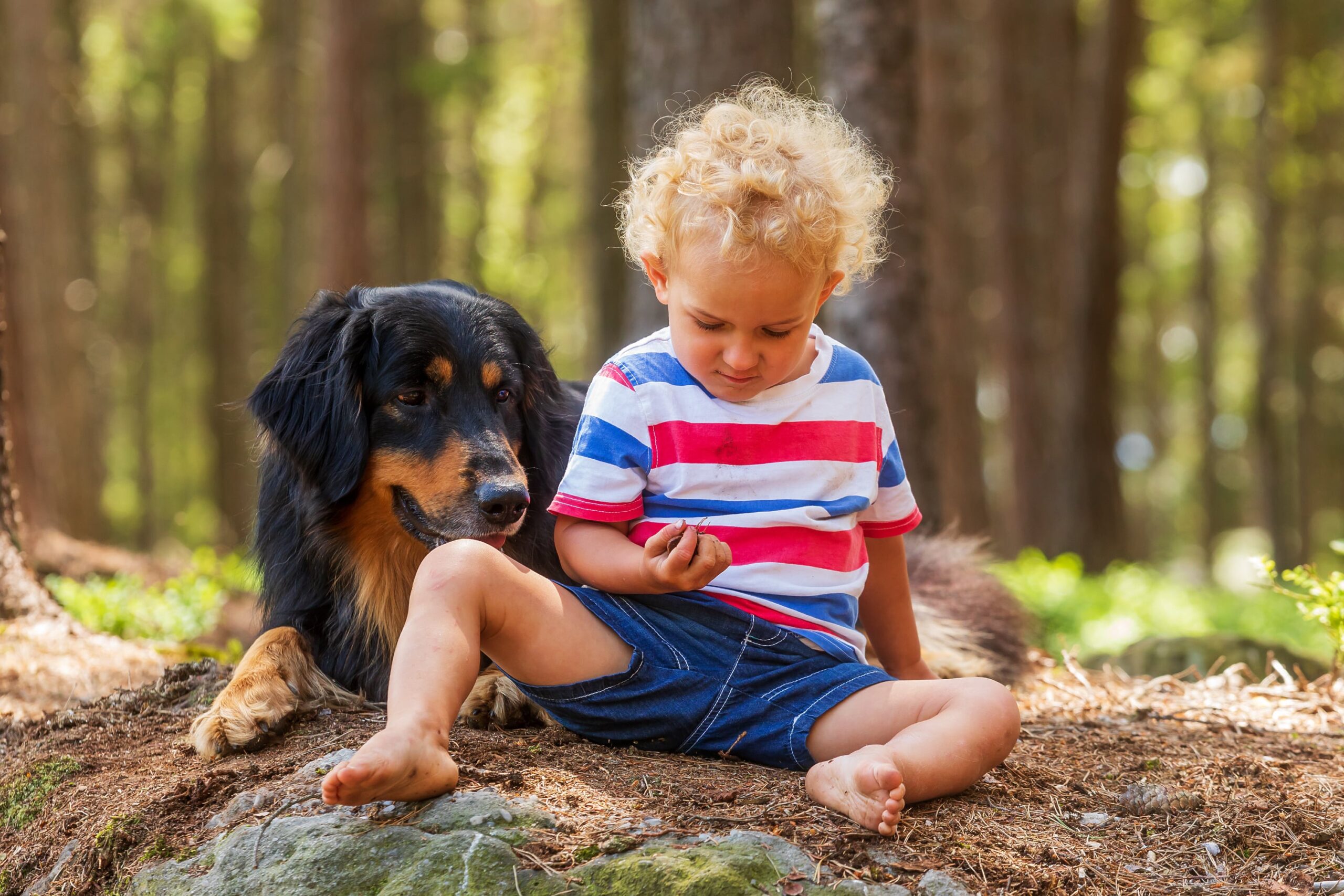 Dorastanie z hovkiem