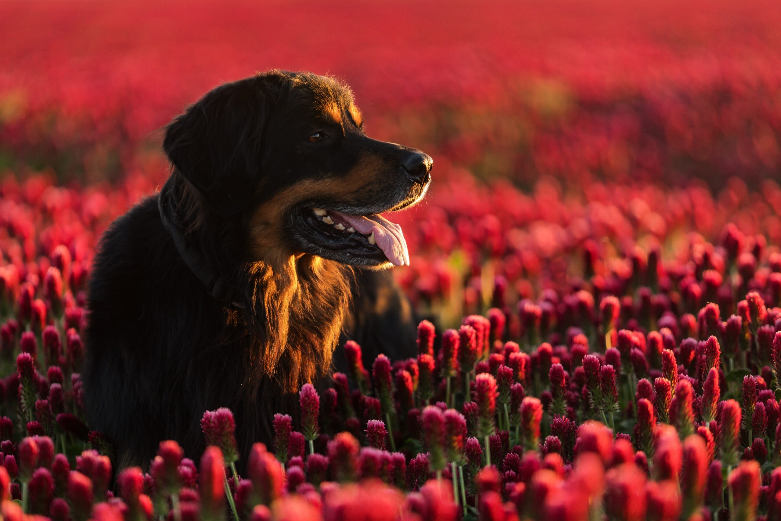 PODSUMOWANIE ROKU 2025