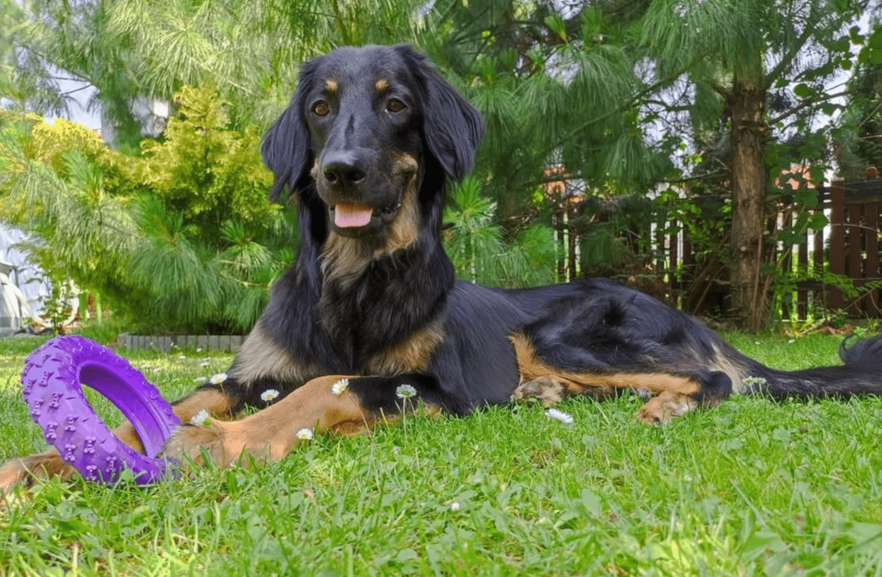 Coda wraca do zdrowia – razem możemy więcej