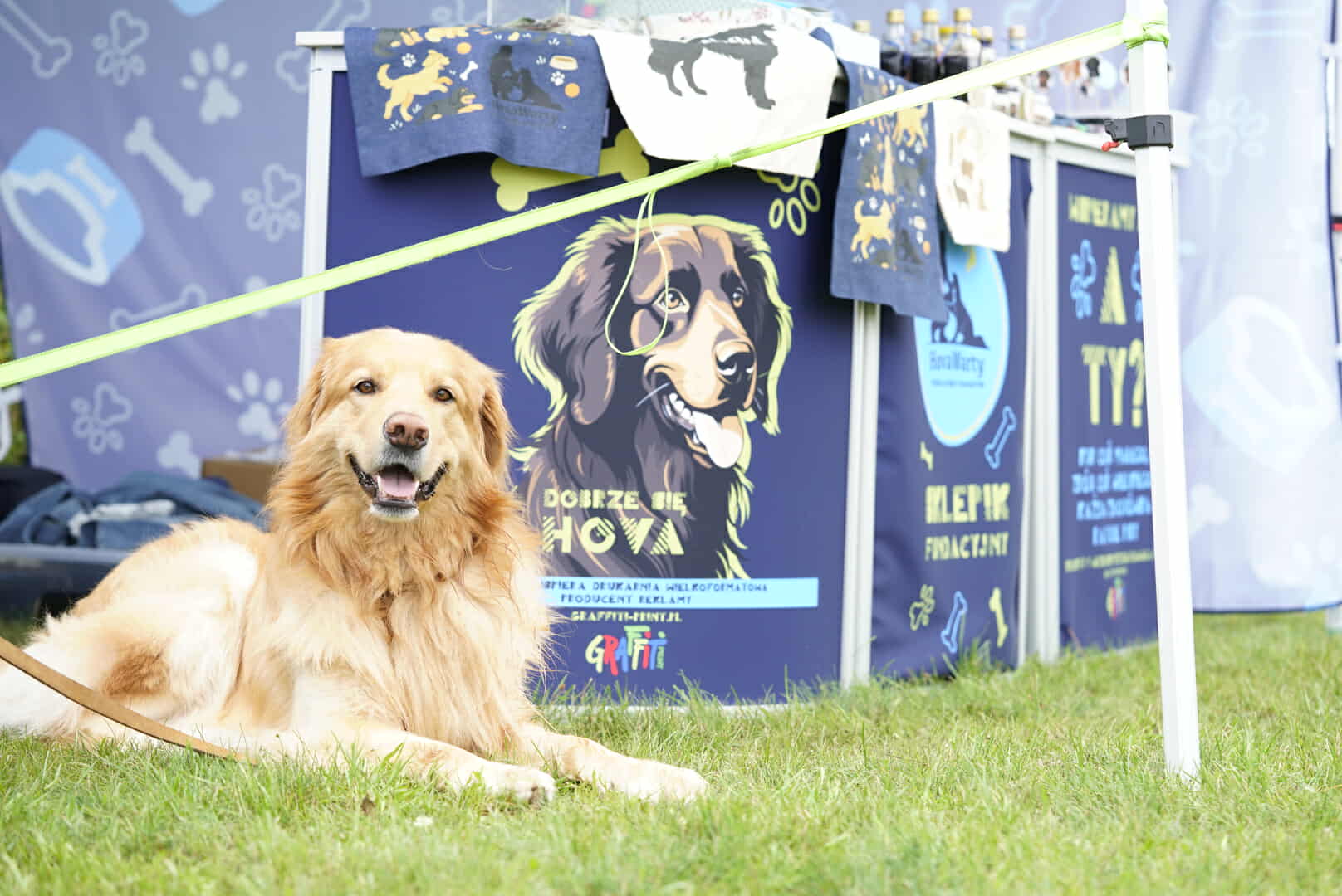 Fundacja Hovawarty na Międzynarodowej Wystawie Psów w Sopocie