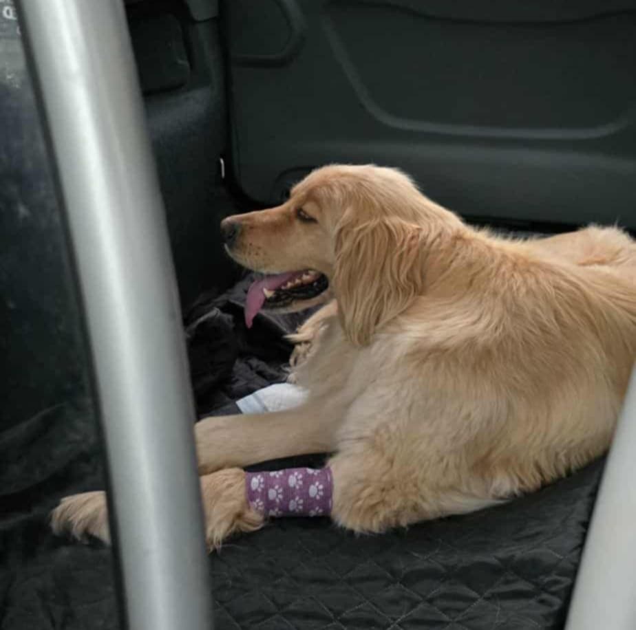 Ajra – jedna noc, szybka diagnoza i powrót do sił