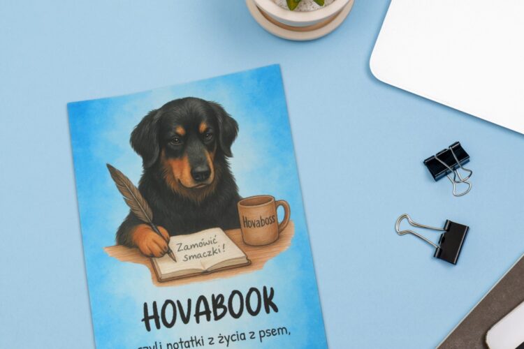 Ruszył nasz sklepik charytatywny na Allegro!